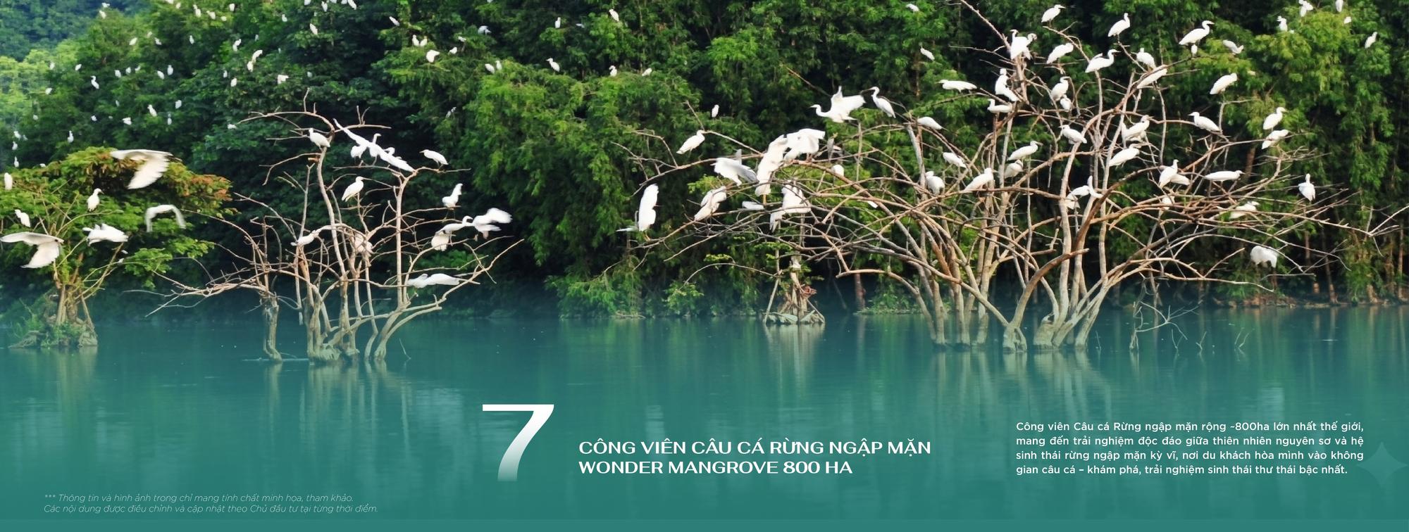 Công viên Câu Cá Rừng Ngập Mặn Wonder Mangrove 800 ha